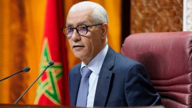 الطالبي العلمي: الوحدة الترابية أساس حل النزاعات الأورومتوسطية