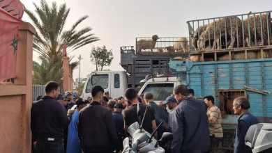 ازدحام مواقف الأضاحي بالدار البيضاء رغم إلغاء الذبح الرسمي(فيديو)