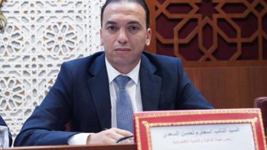 السعدي ينفي علاقته بملف شواهد الماستر: “لم أكن يوما طالبا بجامعة ابن زهر”