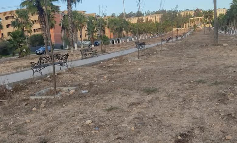الفضاء البيئي بالحرم الجامعي بسطات يحتضر فهل من مغيث؟