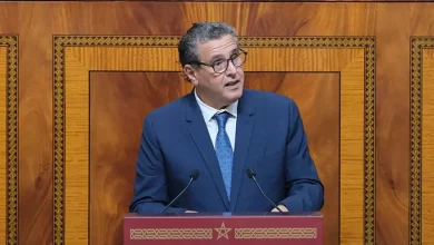 أخنوش: ما تحقق من منجزات حكومية حلقة ضمن مسار تنموي يقوده الملك