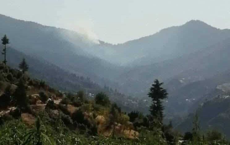 الحسيمة.. اندلاع حريق مهول في غابة المنتزيت ببني بونصار
