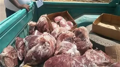 حملة تفتيش بتازة
