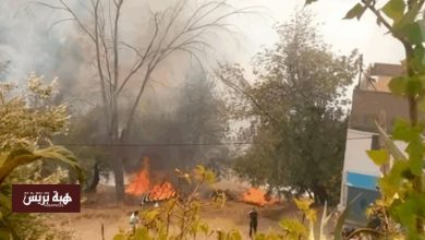 غابة بني قرة تحت لهيب النيران.. حريق مهول يستنفر السلطات بتاونات