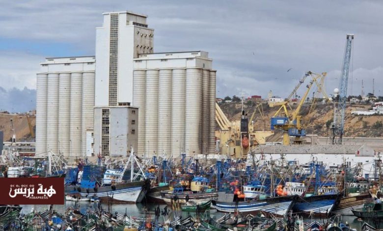 ارتفاع مفرغات الصيد البحري بميناء آسفي بـ33%