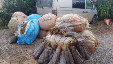 اشتوكة.. مطاردة ليلية تُسفر عن حجز ربع طن من الكيف وتوقيف مشتبه به