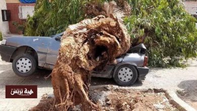 البيضاء.. سقوط شجرة على سيارة مركونة بالحي الحسني