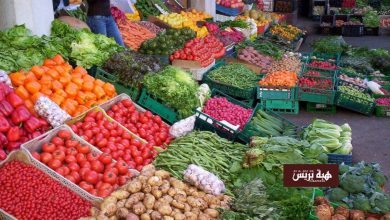 الحسيمة.. ارتفاع أسعار الفواكه واللحوم يسهم في زيادة طفيفة لمؤشر الاستهلاك