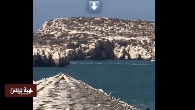 السياسي ألفيس بيريس يرفع أعلام إسبانية على جزيرة مغربية ويثير غضباً واسعاً