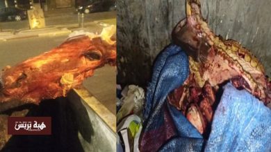 العثور على رأس وعظام مشبوهة في الحي المحمدي بالدار البيضاء