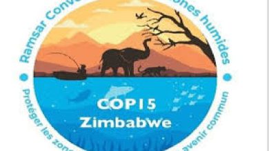 المغرب يتألق في مؤتمر رامسار COP15.. انتصار دبلوماسي وبيئي ضد الجزائر