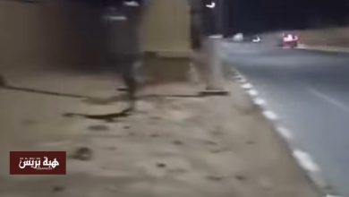 تارودانت.. فيديو يوثق هجوم عصابة على السيارات في منطقة الكردان