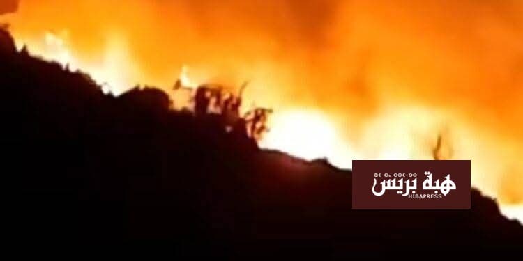 حريق مهول يلتهم غابة عين ألمو واستنفار واسع بإقليم بركان