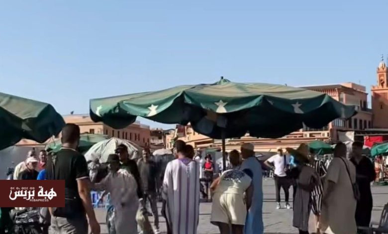 سلطات مراكش توقف نشاط حلقة لروّاض الثعابين بساحة جامع الفنا