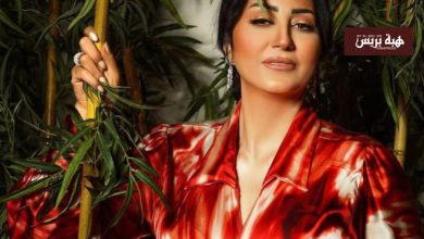 مصر.. هذه حقيقة القبض على الفنانة وفاء عامر