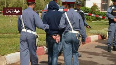 بوزنيقة.. الدرك يدشن حملة واسعة على تجار المخدرات بغابات واد النفيفيخ والمنصورية