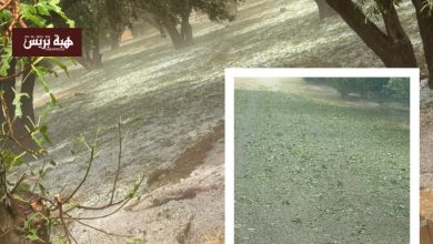 عاصفة رعدية قوية تلحق أضرارا بالزراعات في أوطاط الحاج